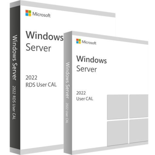 Microsoft RDS 2022 User CAL + User Access License